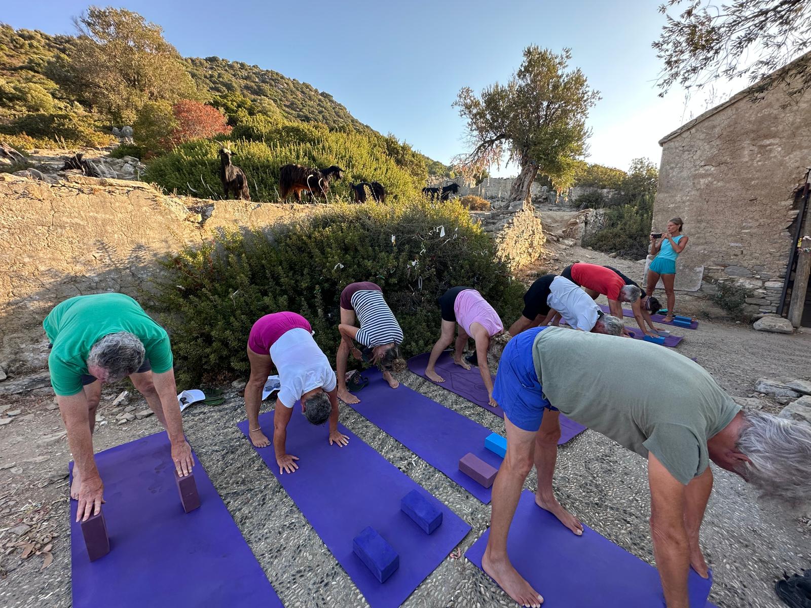 Yoga sailing tours